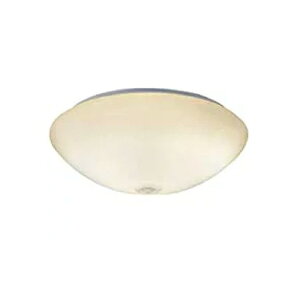 AH41880L RCY~Ɩ V[OCg lZTt M100W dF 2700K