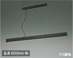 AP51110 RCY~Ɩ y_gCg FL40W dF`F EF\