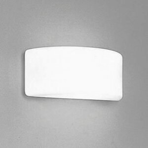 OB071189NR �I�[�f���b�N �u���P�b�g���C�g ���M�����60W���� �����F