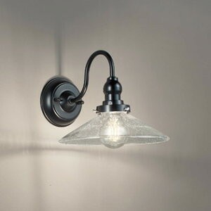 OB081041LC1 �I�[�f���b�N �u���P�b�g���C�g ���M�����40W���� �d���F �����\