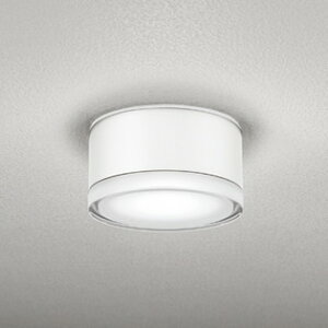 OG254598NR オーデリック 軒下シーリングライト 白熱灯器具100W相当 昼白色 防雨型