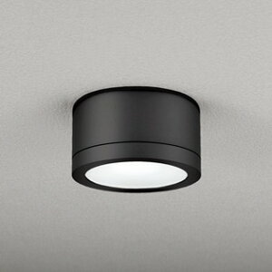 OG254602NR I[fbN V[OCg M100W F hJ^