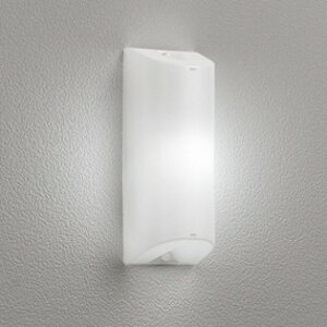 OG254674NR �I�[�f���b�N �|�[�`���C�g FL10W���� �����F �h�J�^