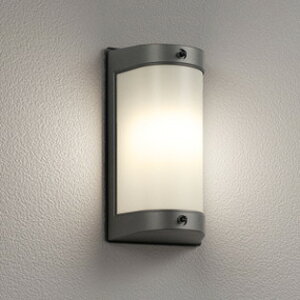 OG254695LR �I�[�f���b�N �|�[�`���C�g ���M�����60W���� �d���F �h�J�^