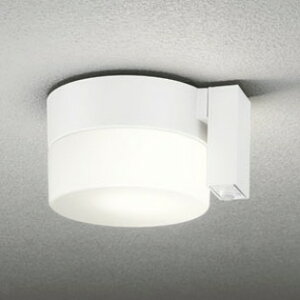 OG254989LCR I[fbN V[OCg lZT[t M60W dF hJ^