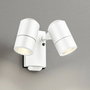 OG264091 I[fbN GNXeA X|bgCg lZT[t vʔ hJ^