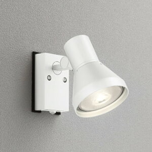 OG044134 I[fbN GNXeA X|bgCg lZT[t vʔ hJ^