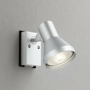 OG044136 I[fbN GNXeA X|bgCg lZT[t vʔ hJ^