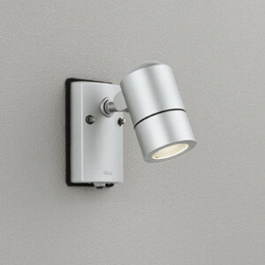 OG254586 I[fbN GNXeA X|bgCg lZT[t vʔ hJ^