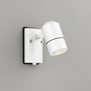 OG254584 I[fbN GNXeA X|bgCg lZT[t vʔ hJ^