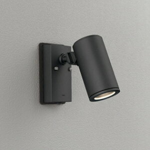 OG254549P1 I[fbN GNXeA X|bgCg lZT[t JDR75W dF hJ^