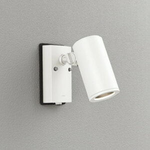 OG254554P1 I[fbN GNXeA X|bgCg lZT[t vʔ hJ^