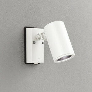 OG254705P1 I[fbN GNXeA X|bgCg lZT[t r[150W F hJ^