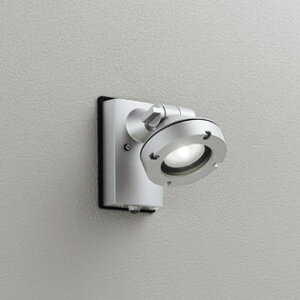 OG254895 I[fbN GNXeA X|bgCg lZT[t r[150W F hJ^