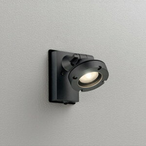 OG254898 I[fbN GNXeA X|bgCg lZT[t r[150W dF hJ^