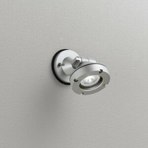 OG254899 I[fbN GNXeA X|bgCg r[150W F hJ^