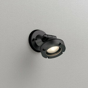 OG254906 I[fbN GNXeA X|bgCg r[150W dF hJ^