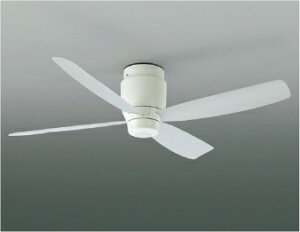 AEE595029 RCY~Ɩ CeAt@G-V[Y V[Ot@ Rt