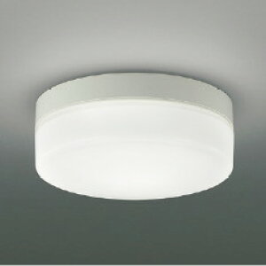 AU49376L コイズミ照明 軒下シーリングライト FCL20W相当 昼白色 防雨型