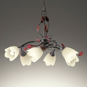 OC257028LR I[fbN VfA `6p dF