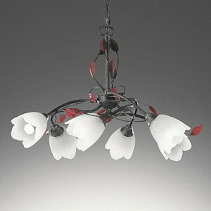 OC257028WR I[fbN VfA `6p F