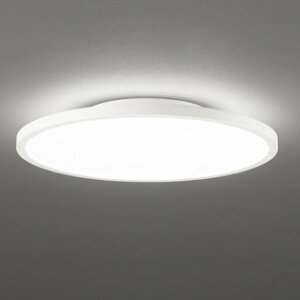 OL291617BR �I�[�f���b�N �V�[�����O���C�g �����R���t �`12���p �d���F�`�����F Bluetooth�����E���F�\