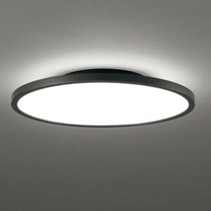 OL291619BR �I�[�f���b�N �V�[�����O���C�g �����R���t �`12���p �d���F�`�����F Bluetooth�����E���F�\