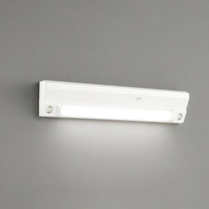 OR037044 I[fbN 퓔 Hf16Wo͑ F