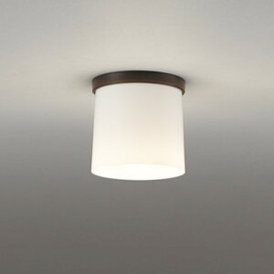 OL013008BR I[fbN ^V[OCg M60W dF`F BluetoothEF\