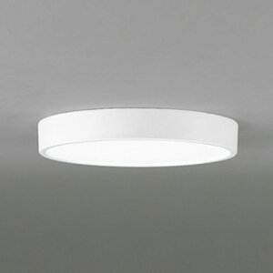 OL291431BR �I�[�f���b�N �_�E���V�[�����O���C�g FCL30W���� �d���F�`�����F Bluetooth�����E���F�\