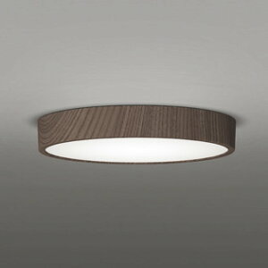 OL251748R �I�[�f���b�N �_�E���V�[�����O���C�g FCL30W���� �����F �����\