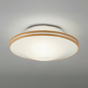 OL011250LR I[fbN ^V[OCg lZT[t M60W×2 dF