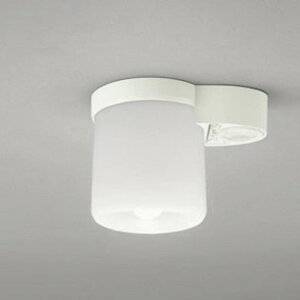 OL013379NR �I�[�f���b�N ���^�V�[�����O���C�g �����x�l���Z���T�[�t ���M�����60W���� �����F