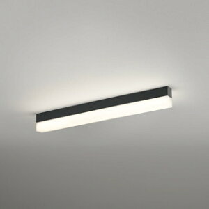 OL291578R2E �I�[�f���b�N �x�[�X���C�g ����600mm Hf16W���o�͑��� �d���F