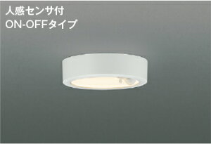 AH50467 RCY~Ɩ _EV[OCg lZT[t M100W dF