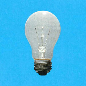 LC100V60W55 ATq NAd 100V 60W` E26 10Zbg LC100V-60W/55