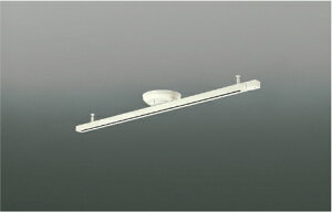 AE42173E RCY~Ɩ CeBO_Ng tȈՌ^