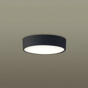 LGB51658LE1 �p�i�\�j�b�N �_�E���V�[�����O���C�g ���M�����60W���� �d���F