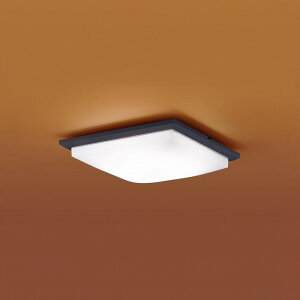LGC45834 �p�i�\�j�b�N �V�[�����O���C�g �����R���t �`10���p �d���F�`�����F �����E���F�\