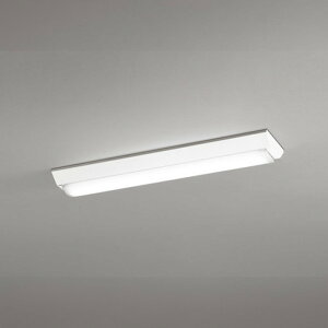 XL501001R3D �I�[�f���b�N �x�[�X���C�g FL20W×2������ �����F