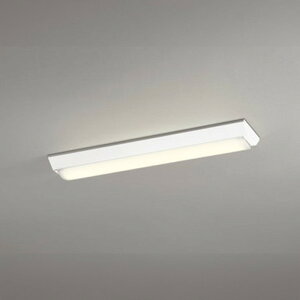 XL501001R3E I[fbN x[XCg FL20W×2 dF