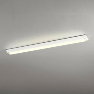XL501002R2E �I�[�f���b�N �x�[�X���C�g FLR40W×2������ �d���F