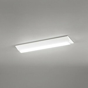XL501004R3B �I�[�f���b�N �x�[�X���C�g FL20W×2������ �����F