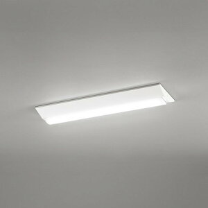 XL501004R3D �I�[�f���b�N �x�[�X���C�g FL20W×2������ �����F
