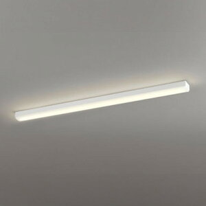 XL501008R2E �I�[�f���b�N �x�[�X���C�g FLR40W×2������ �d���F