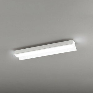 XL501010R3D �I�[�f���b�N �x�[�X���C�g FL20W×2������ �����F