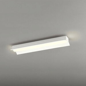 XL501010R3E I[fbN x[XCg FL20W×2 dF