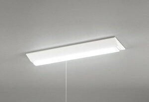 XL501104R3D �I�[�f���b�N �x�[�X���C�g FL20W×2������ �����F