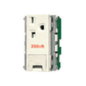 �p�i�\�j�b�N WN19323