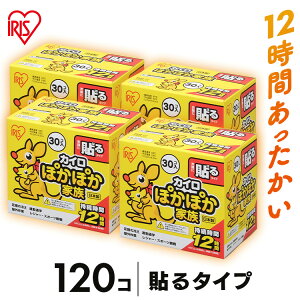 y30×4zJC \ 120 PKN-30HR \JC 12Ԗh  e w ~ ^ ΍ ObY ߕ  ₦ ĝăJC M[TCY ACXI[} ACXJC